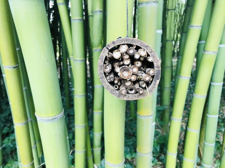 ORCHESTRE A CORDES DES JEUNES MUSICIENS DES CONSERVATOIRES DE PARIS