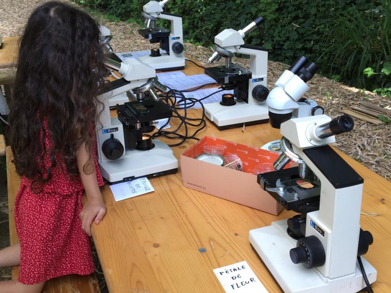 LA BAMBOUSERAIE AU MICROSCOPE