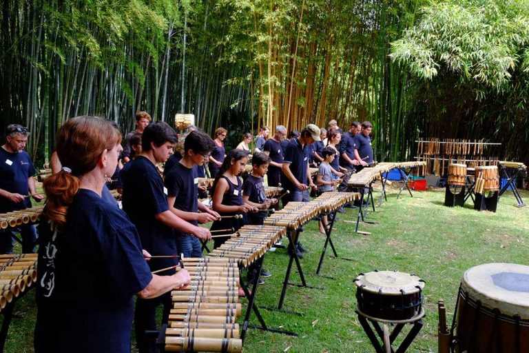 LES POUSSES DU BAMBOO ORCHESTRA