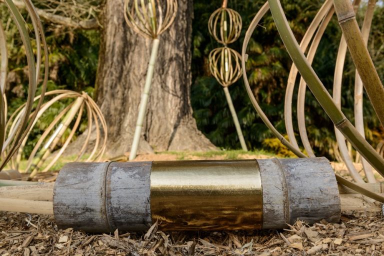 EXPOSITION ART & NATURE