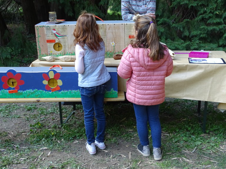 ATELIER “FAUNE DES CÉVENNES , ZOOM SUR LES OISEAUX DE NOS VALLÉES”