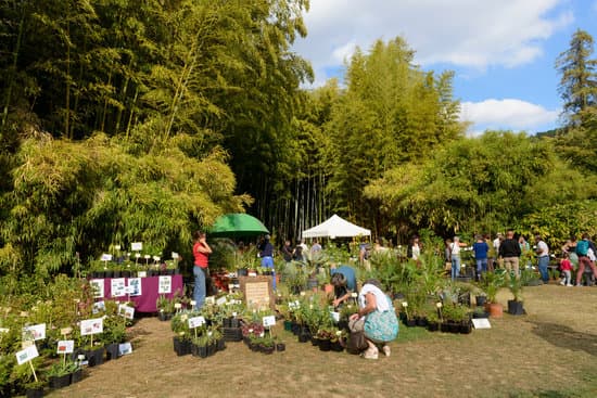LA JOURNÉE DES PLANTES