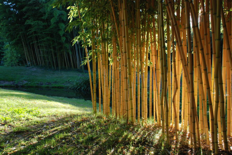 NOTRE ENGAGEMENT POUR L’ENVIRONNEMENT