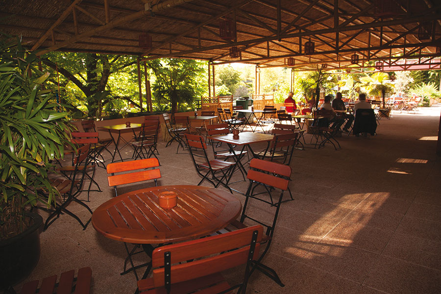 <p>En accès libre, venez combler les petites ou grandes faims avec un large choix de produits frais et locaux préparés sur place.</p>
<p>Là aussi le bambou est présent … à déguster ! Les contenants sont écoresponsables et recyclables. Le snack est accessible aux personnes en situation de handicap et aux poussettes.</p>
