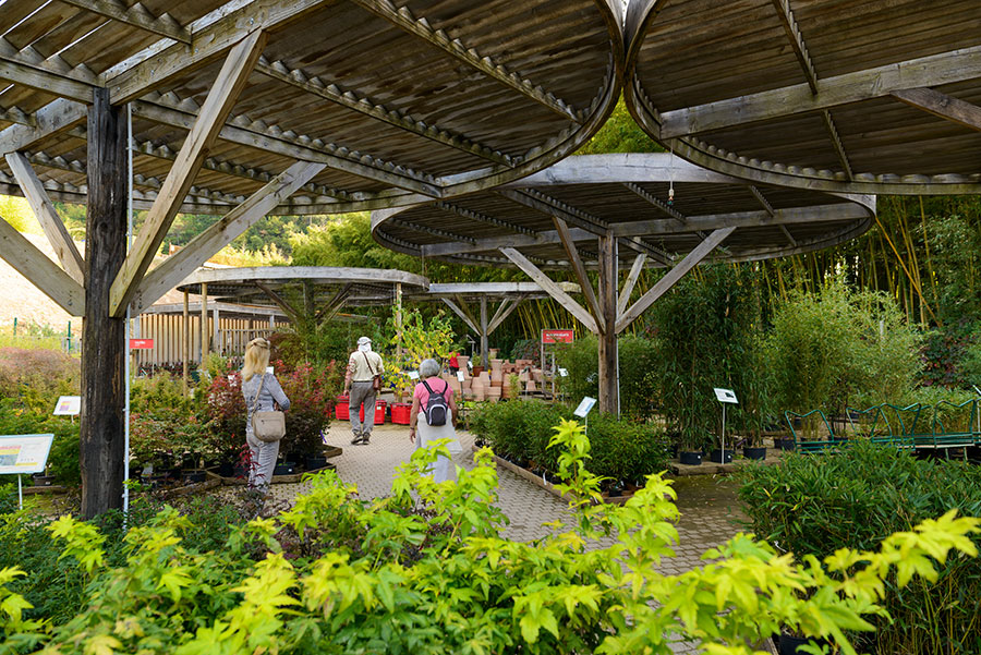 <p>Rencontrez nos jardiniers pour vous révéler les astuces d’entretien sur vos bambous favoris mais également vous faire découvrir une jolie sélection de plantes fleuries et arbustes.</p>
<p>Donnez ainsi une touche d’exotisme à votre jardin à des prix préférentiels.</p>
<ul>
<li>+ de 30 variétés de Bambous et d’Erables</li>
<li>Plantes de saison</li>
<li>Direct producteurs</li>
<li>Conseils d’experts</li>
</ul>
		<div data-elementor-type="section" data-elementor-id="2029" data-post-id="1958" data-obj-id="1958" class="elementor elementor-2029 dce-elementor-post-1958" data-elementor-settings="[]">
		<div class="elementor-section-wrap">
					<section class="elementor-section elementor-top-section elementor-element elementor-element-ca4cae4 elementor-section-boxed elementor-section-height-default elementor-section-height-default" data-id="ca4cae4" data-element_type="section">
						<div class="elementor-container elementor-column-gap-default">
							<div class="elementor-row">
					<div class="elementor-column elementor-col-100 elementor-top-column elementor-element elementor-element-63e98e5" data-id="63e98e5" data-element_type="column">
			<div class="elementor-column-wrap elementor-element-populated">
							<div class="elementor-widget-wrap">
						<div class="elementor-element elementor-element-38e2899 elementor-align-center elementor-widget elementor-widget-button" data-id="38e2899" data-element_type="widget" data-widget_type="button.default">
				<div class="elementor-widget-container">
					<div class="elementor-button-wrapper">
			<a href="https://www.bambusa.fr/" target="_blank" class="elementor-button-link elementor-button elementor-size-sm" role="button">
						<span class="elementor-button-content-wrapper">
						<span class="elementor-button-text">Commandez sur bambusa.fr</span>
		</span>
					</a>
		</div>
				</div>
				</div>
						</div>
					</div>
		</div>
								</div>
					</div>
		</section>
				</div>
		</div>
		
