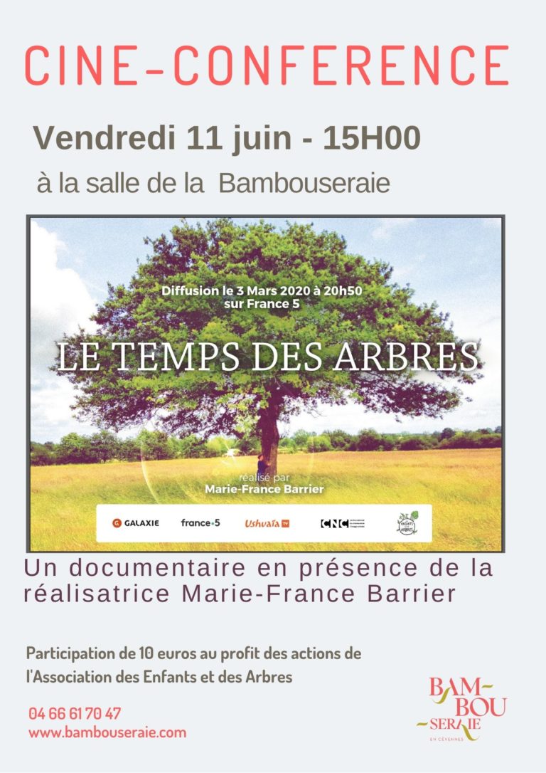 LE TEMPS DES ARBRES