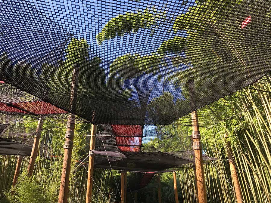 <p>Vivez une expérience unique, au sein d’un parcours en filets, culminant à 8 mètres de hauteur !</p>
<p>De passerelle en module, profitez d’une immersion en plein cœur de la végétation, et prenez le temps de l’admirer, l’observer et l’étudier, en toute sécurité et sans piétinements racinaires.</p>
<ul>
<li>Accessible à partir de 6 ans sous la responsabilité d’un adulte</li>
<li>Parcours dédié pour les enfants jusqu’à 6 ans</li>
</ul>
