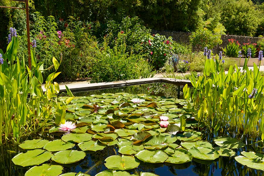 <p>Un lieu où il est bon d’oublier les heures pour prendre le temps. Le temps de savourer ce jardin clos avec les magnifiques reliefs de son paysage époustouflant. Le jardin des bassins d’Eugène marie :</p>
<ul>
<li>l’architecture,</li>
<li>les lignes fortes du bassin,</li>
<li>l’eau calme des miroirs,</li>
<li>et l’esprit de nature de la coulée verte, naturelle ou file l’eau vive.</li>
</ul>
<p>Un lieu ressourçant qui se visite à pas feutrés tout en admirant ses différentes perspectives…</p>
